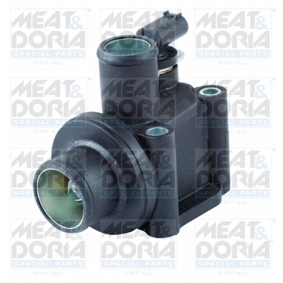 Thermostat, coolant